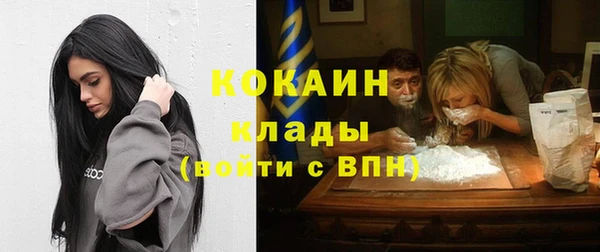 метадон Гусев