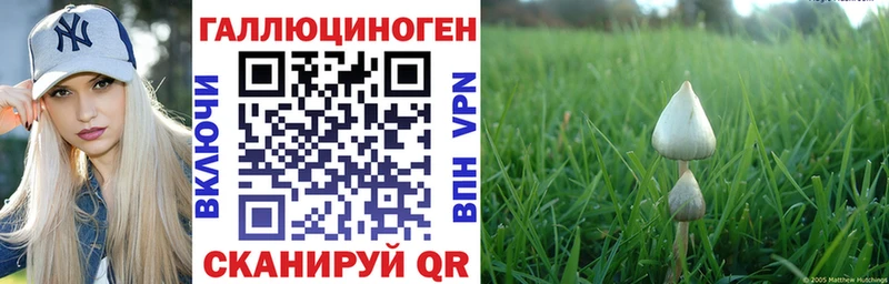 Галлюциногенные грибы GOLDEN TEACHER  Нижнеудинск 